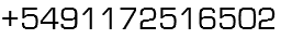 +5491172516502